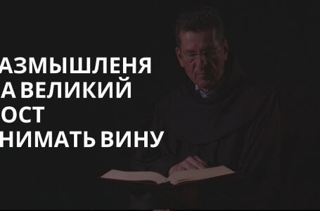 Снимать вину – fra Ante Vučković