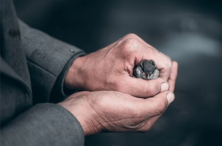 SĀTANS VĒLAS JŪS IEKALT NEMIERA UN NAIDA VAŽĀS