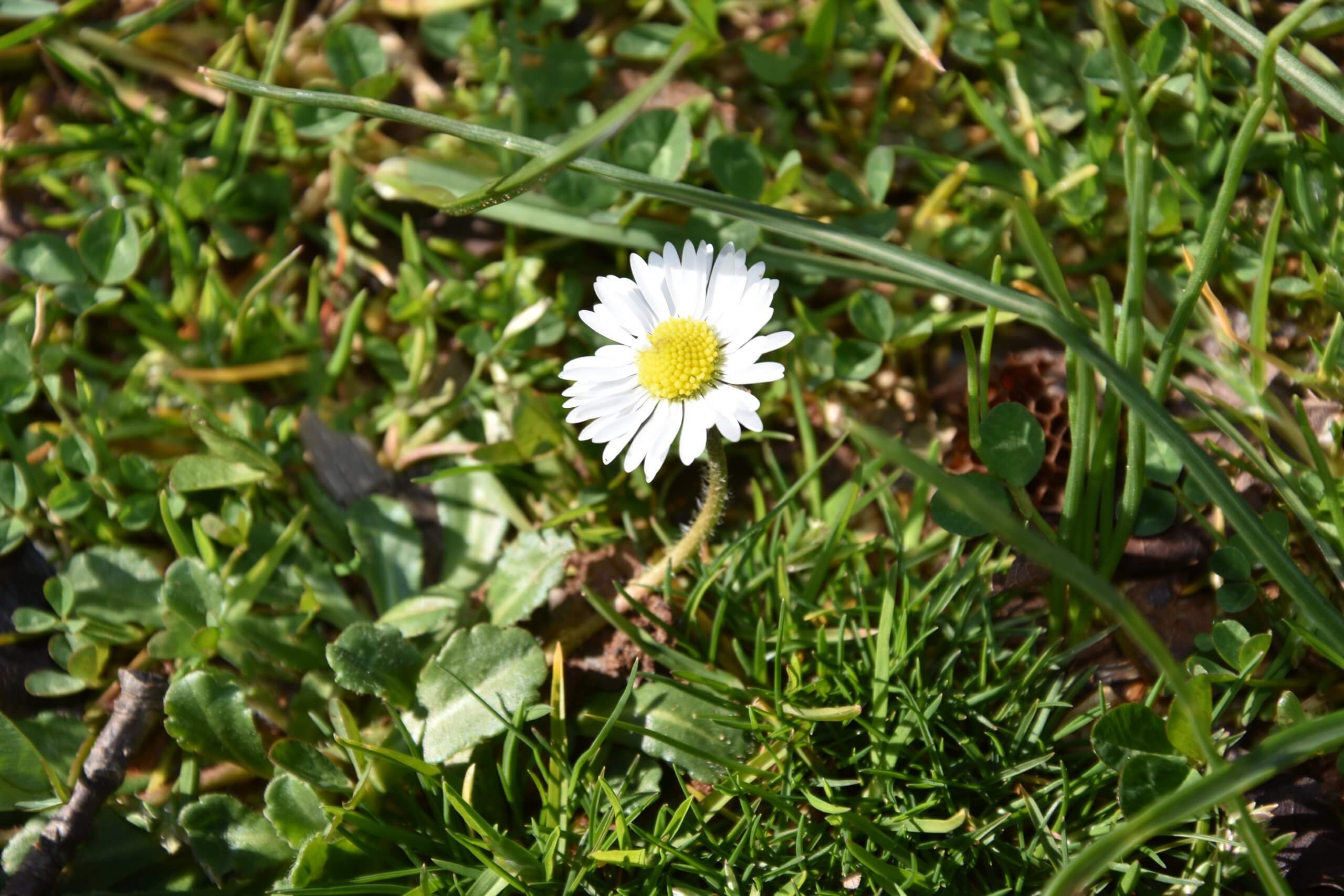 Dievmātes, Miera Karalienes, vēstījums Marijai Pavlovičai-Luneti 1986. gada 10. aprīlī